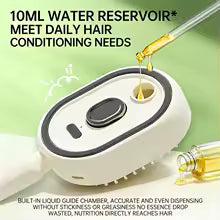 Electric Spray Air Cushions Massage Comb 3 in 1 Self Cleaning Steam Essential Oil Brush Rechargeable Spray Scalp Massager Combs